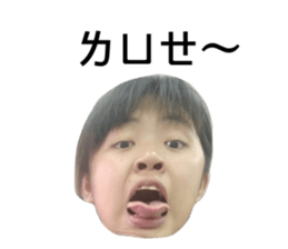 163228427