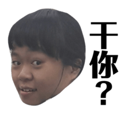 163228434