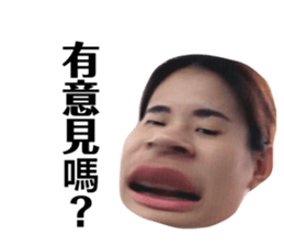 163228455