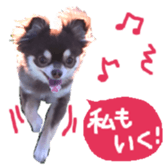 163288303