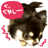 163288308