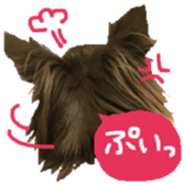 163288310