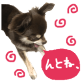 163288313