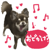163288314