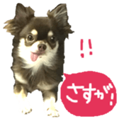 163288315