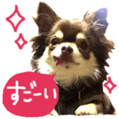 163288319