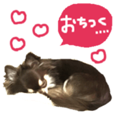 163288323