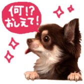 163288326