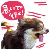 163288328
