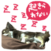 163288329