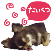 163288331