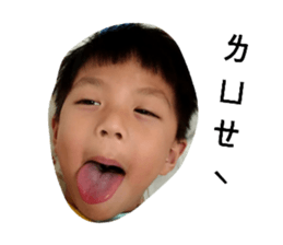 163317490