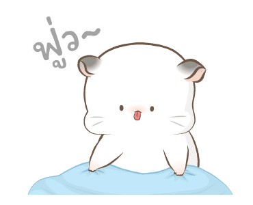 Simao & Bamao ชินชิลลาน่ารัก ละมุนละไม รูปที่ 2