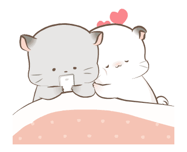 Simao & Bamao ชินชิลลาน่ารัก ละมุนละไม รูปที่ 5