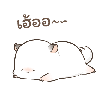 Simao & Bamao ชินชิลลาน่ารัก ละมุนละไม รูปที่ 10