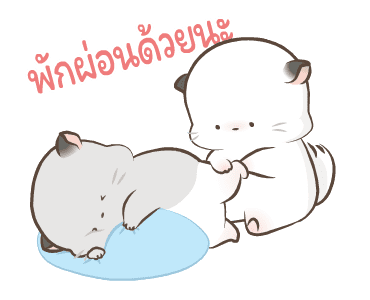 Simao & Bamao ชินชิลลาน่ารัก ละมุนละไม รูปที่ 14