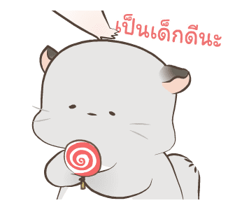 Simao & Bamao ชินชิลลาน่ารัก ละมุนละไม รูปที่ 16