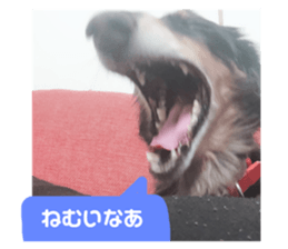 163356603