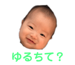 163403660