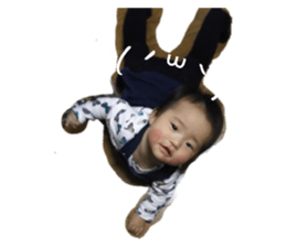 163405057