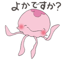 163420086