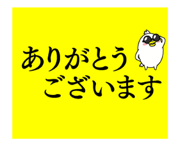 16344824