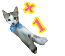 163458807