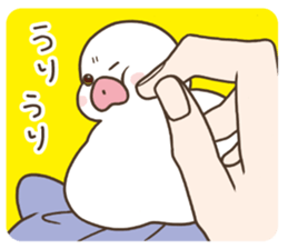 16348955