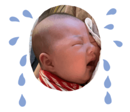 163569667