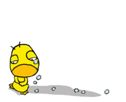 16361376