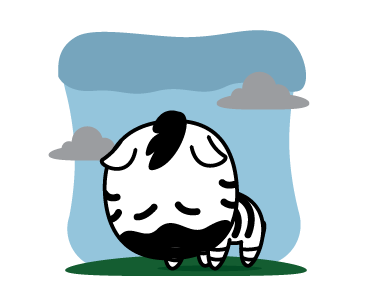 Zebi the Zebra รูปที่ 5