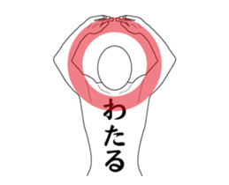 163751554