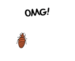 16382247
