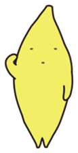 163844594