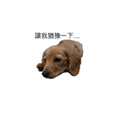 163881665