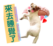 163885276