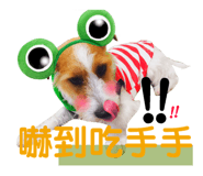 163885281