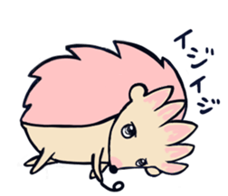 16388929