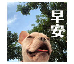 163889634