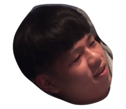 163915299