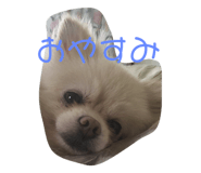 163932259