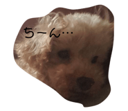 163932263