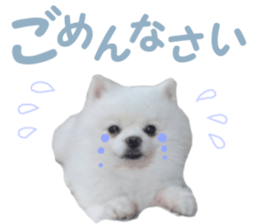 16394065