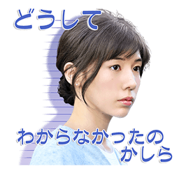 16402024
