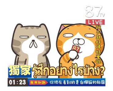 เหมียวซ่าพร้อมลุย! รูปที่ 6