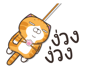16405144