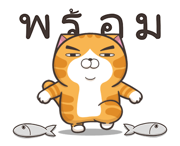 เหมียวซ่าพร้อมลุย! รูปที่ 11
