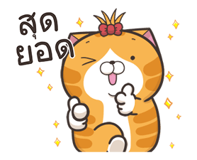 16405154