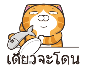 16405156