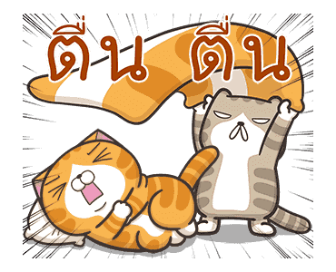 เหมียวซ่าพร้อมลุย! รูปที่ 24
